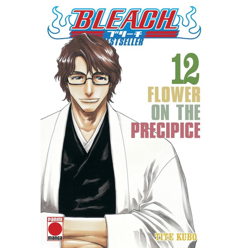 Bleach Bestseller 12