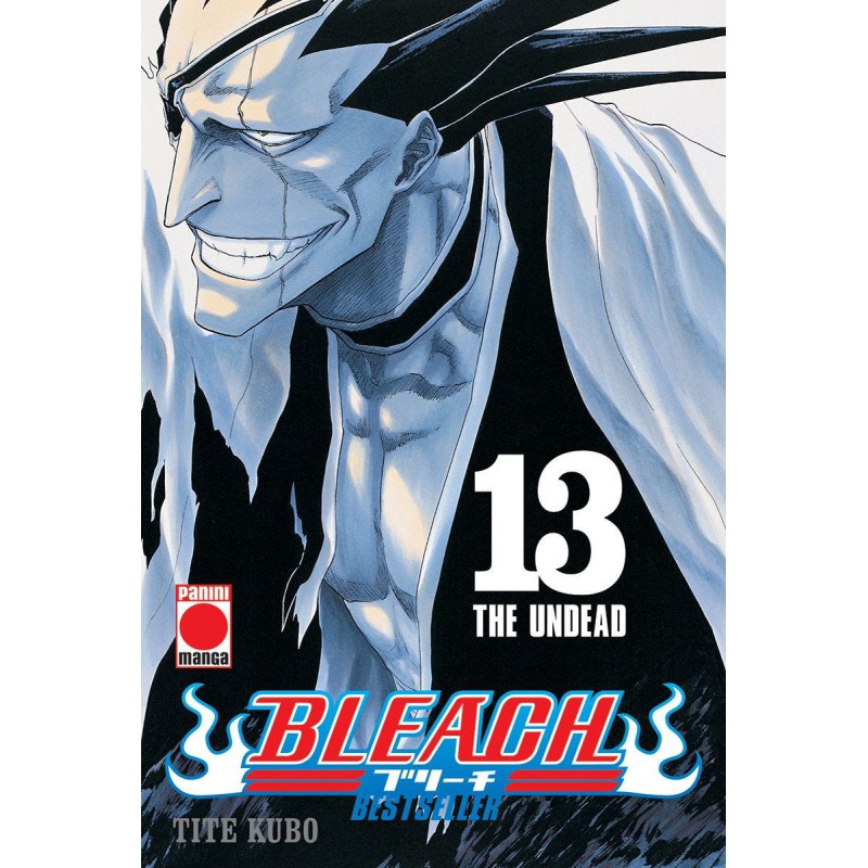 Bleach Bestseller 13