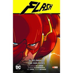 Flash vol. 01: El relámpago cae dos veces