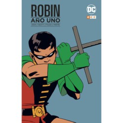 Robin: Año Uno