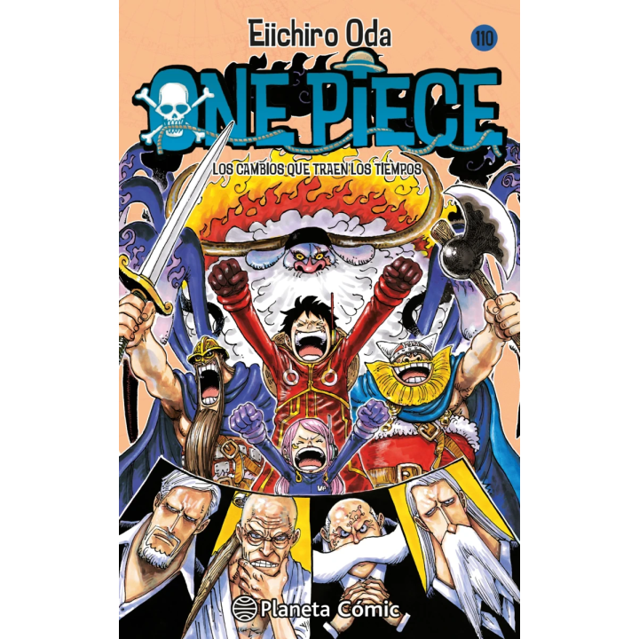 One Piece nº 110