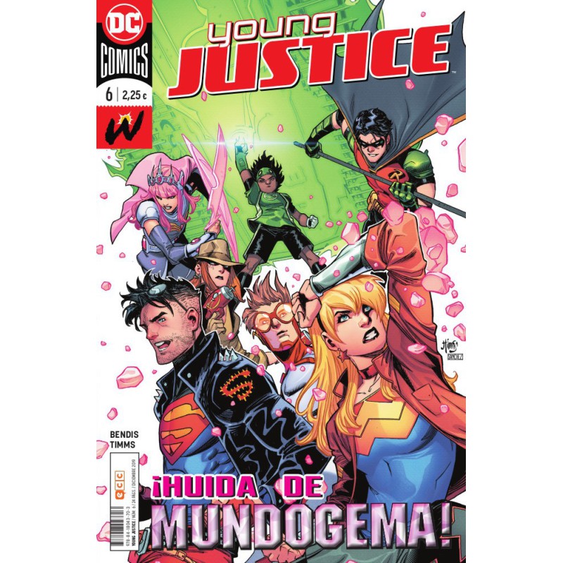 Young Justice núm. 06