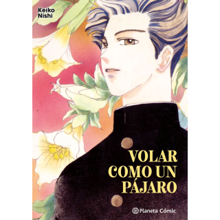Volar como un pájaro