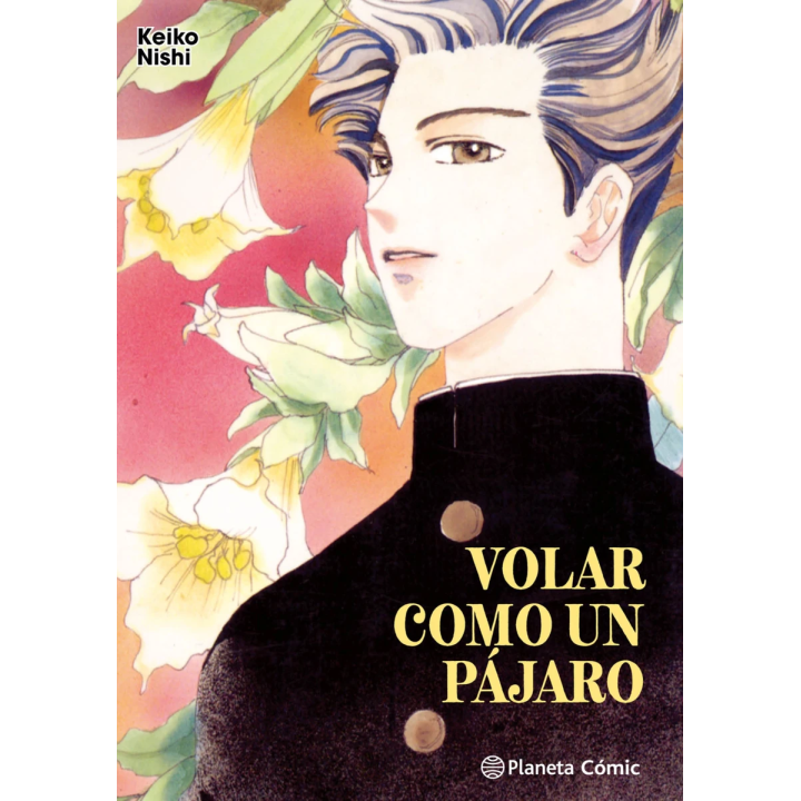 Volar como un pájaro