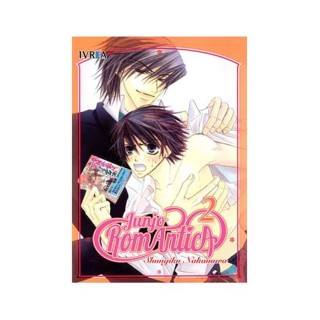 Junjo Romantica 02 (Comic)