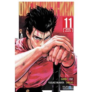One Punch Man 11