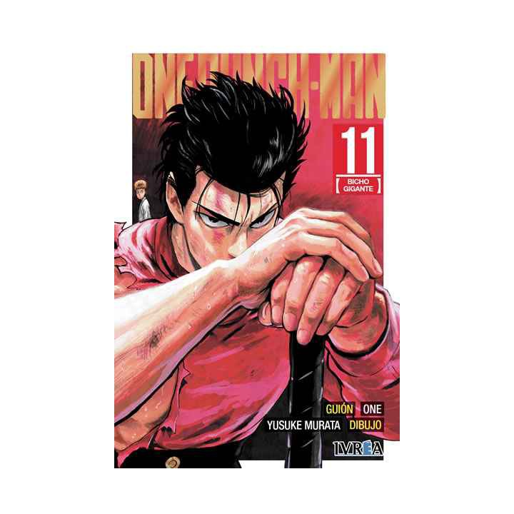 One Punch Man 11