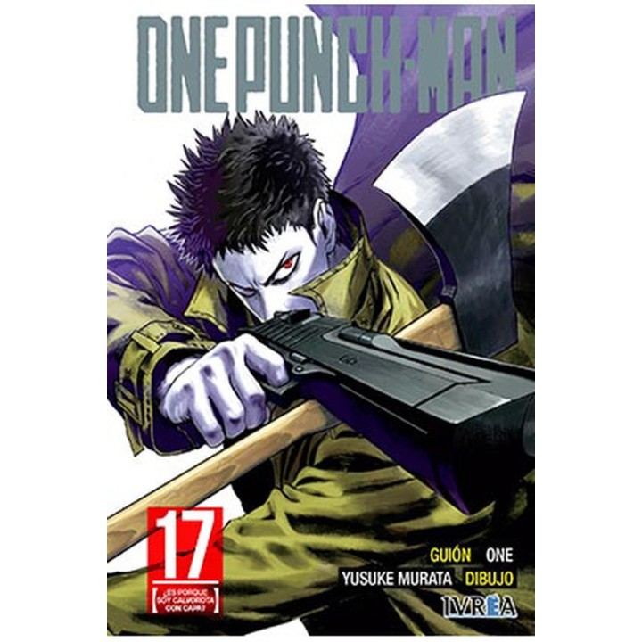 One Punch-man 17