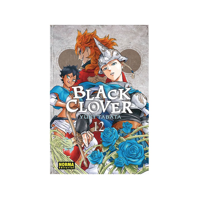 Black Clover 12