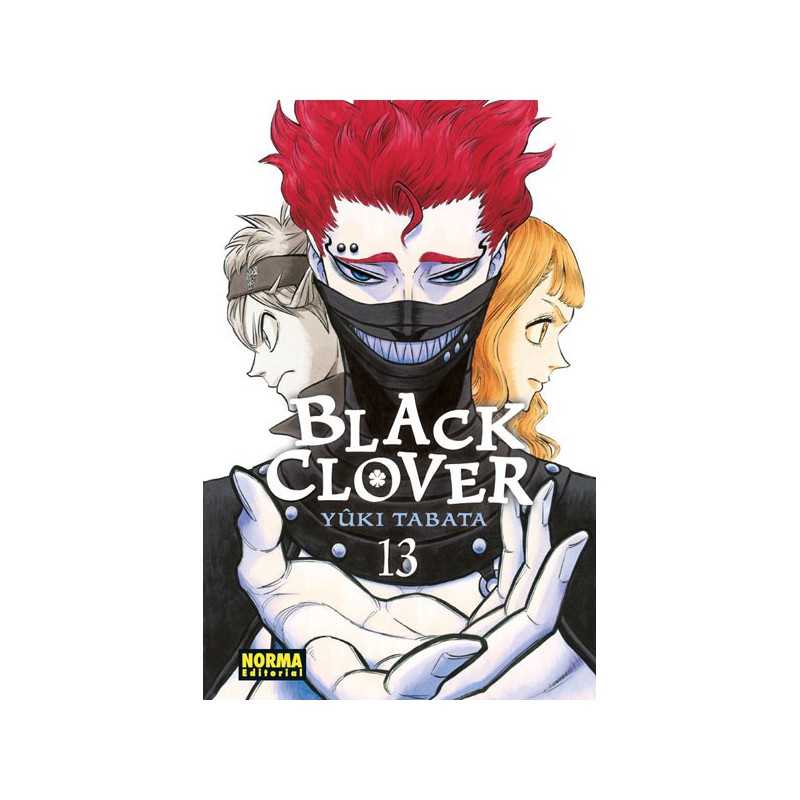 Black Clover 13